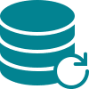 data-backup-icon