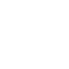 password-icon