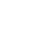 local-seo-icon