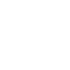 performance-goal-icon